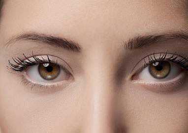 Eyes