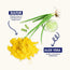 Dermisa Sulfur Bar Soap with Aloe Vera, Helps to Cleanse Oily Acne-Prone Skin and Unclog Pores