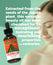 Aztec Secret Royal Jojoba Essential Oil 2 OZ