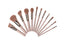 "BEBELLA COSMETICS "THE CLASSICS" 12PC BRUSH SET"