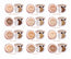 Loreal Paris True Match Lumi Cushion